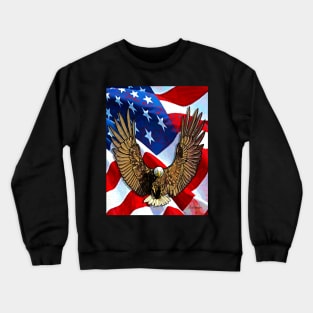 American Eagle Crewneck Sweatshirt